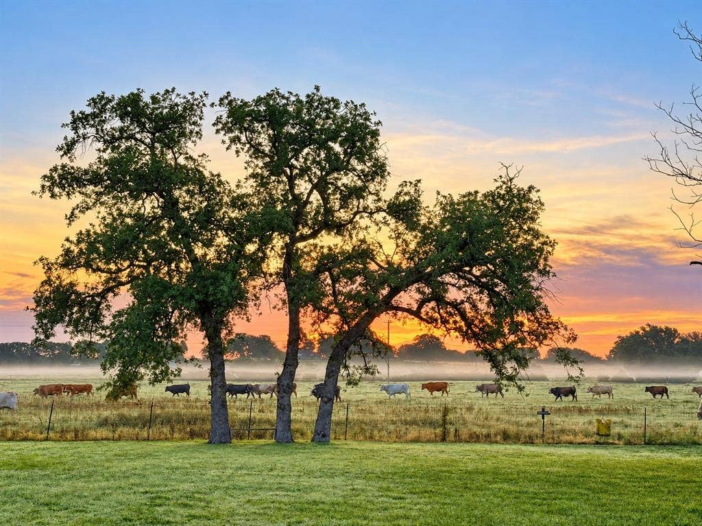 2609 Oaks Drive, Granbury, TX 76049
