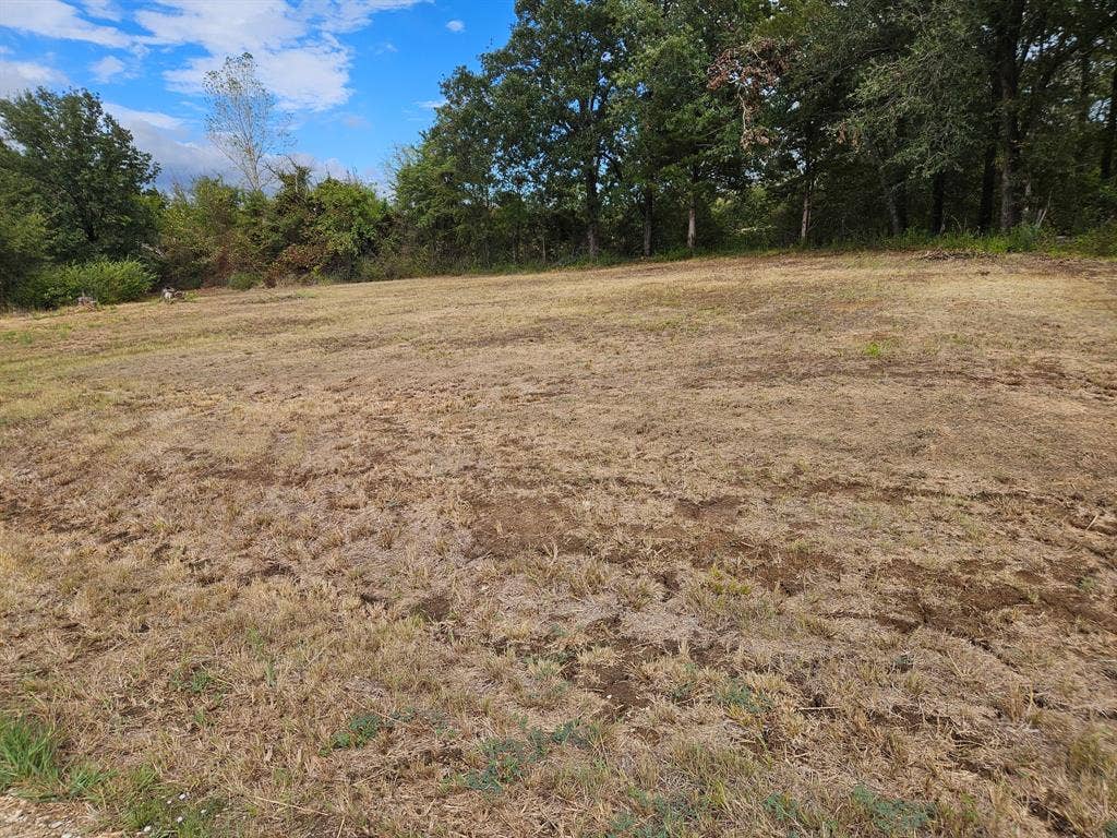 32 E Elmwood, Mount Vernon, TX 75044