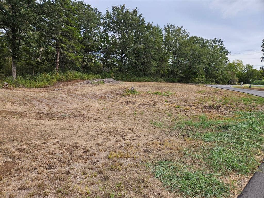32 E Elmwood, Mount Vernon, TX 75044