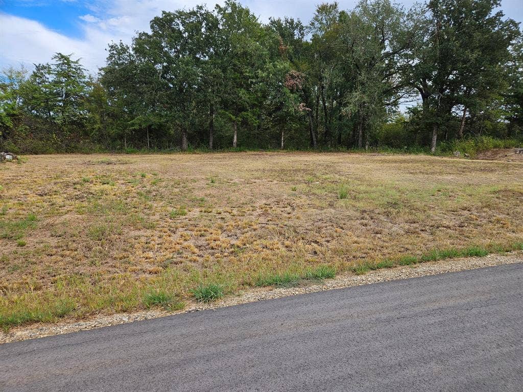 32 E Elmwood, Mount Vernon, TX 75044