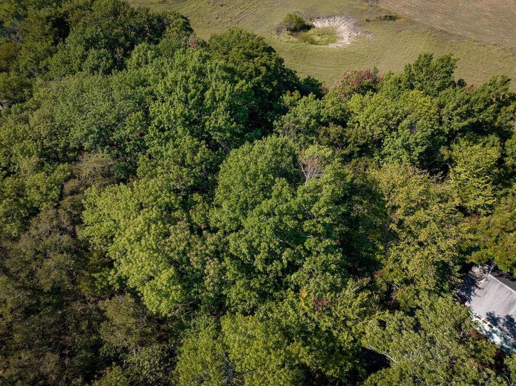 TBD County Road 568, Princeton, TX 75407 TBD County Road 568, Princeton, TX 75407