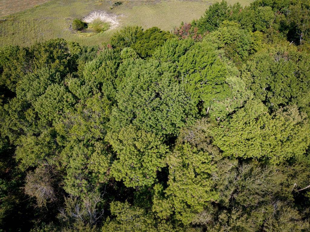 TBD County Road 568, Princeton, TX 75407 TBD County Road 568, Princeton, TX 75407