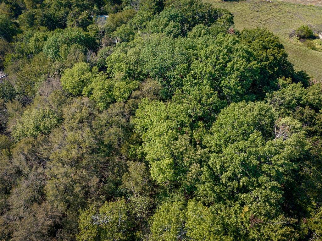 TBD County Road 568, Princeton, TX 75407 TBD County Road 568, Princeton, TX 75407