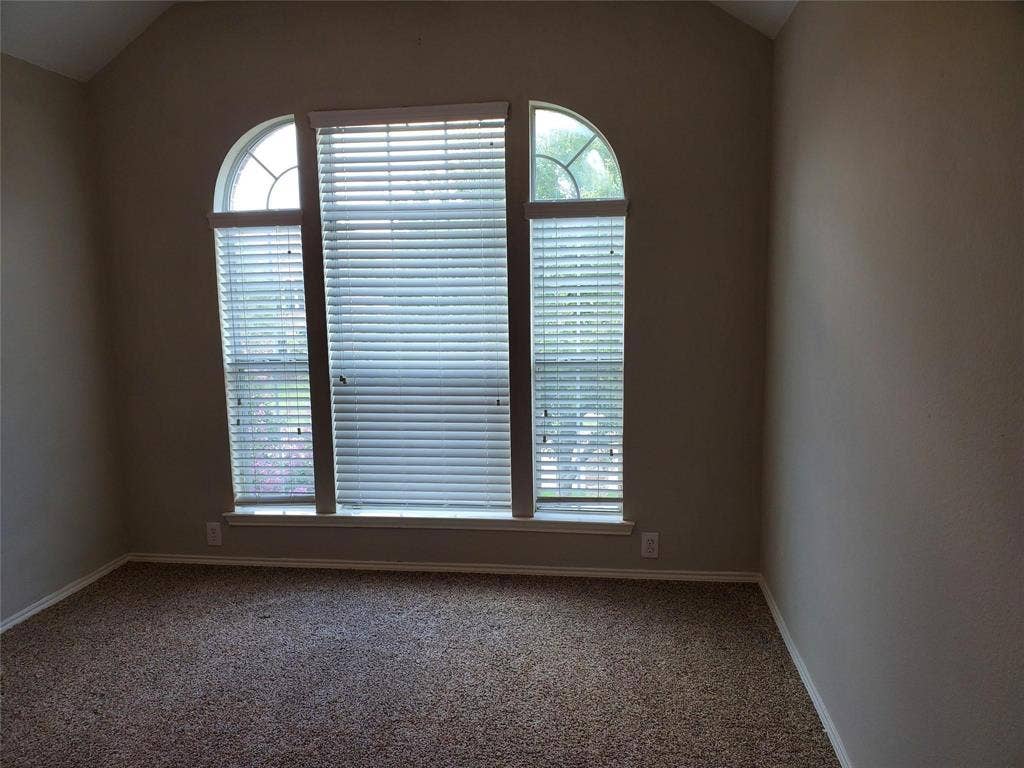 2077 Sleepy Hollow Trail, Frisco, TX 75033 Empty room featuring carpet flooring and a healthy amount of sunlight