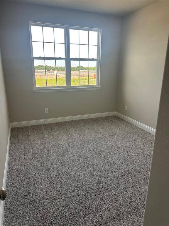 3104 camilli Cove, Princeton, TX 75071