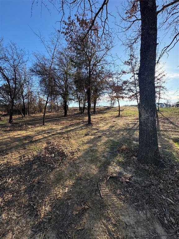 293 Zebrastone Way, Poolville, TX 76487