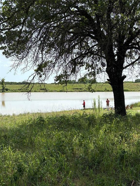 293 Zebrastone Way, Poolville, TX 76487