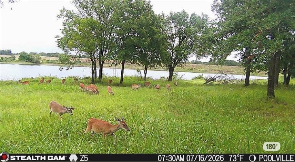 297 Zebrastone Way, Poolville, TX 76487