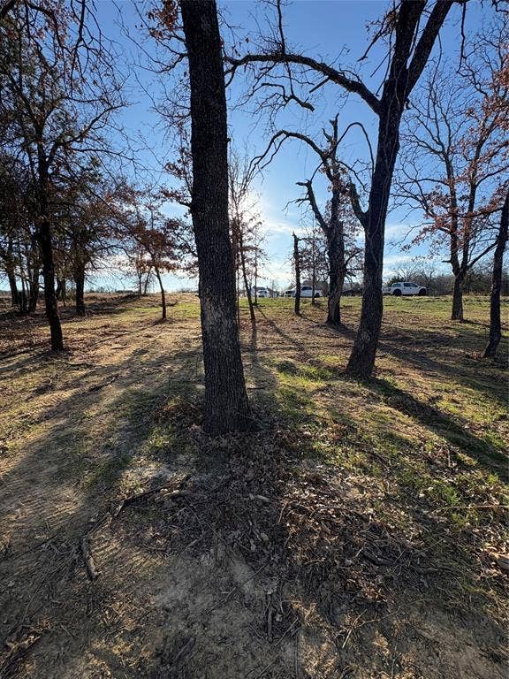 297 Zebrastone Way, Poolville, TX 76487