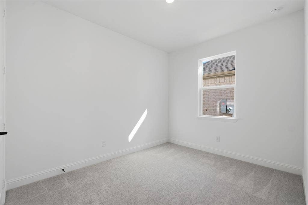 Plush gray carpeting, white walls, and a single window with white trim