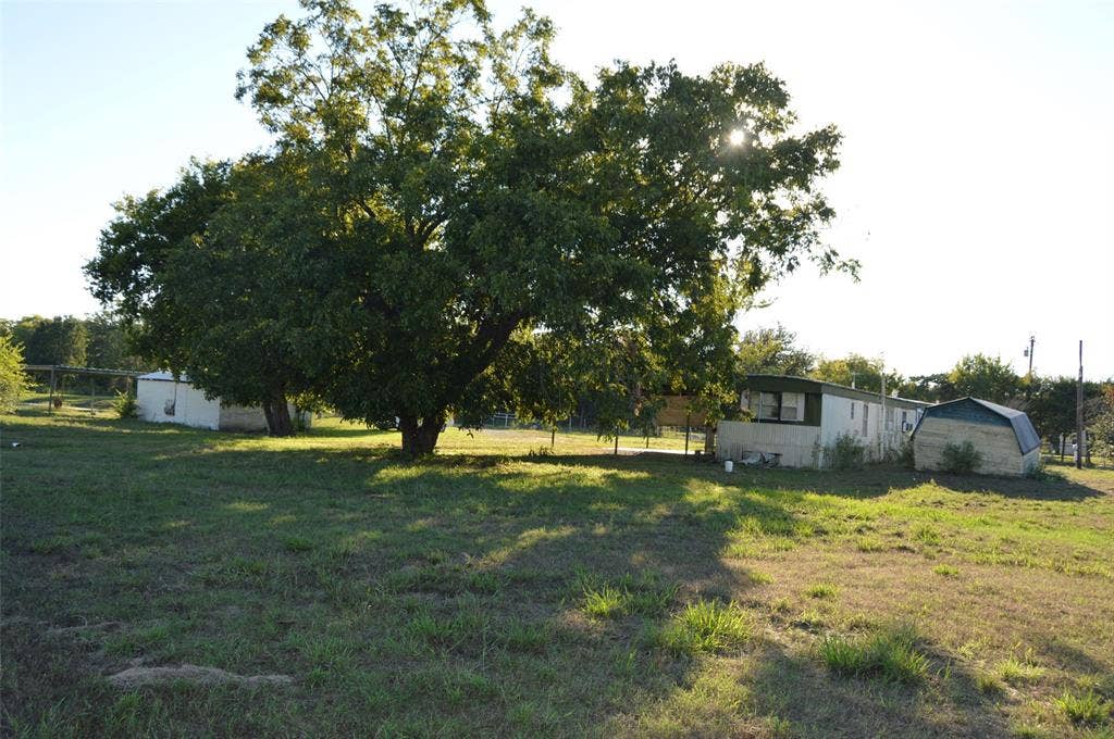 3345 County Road 1125, Farmersville, TX 75442 Looking from yard at improvements