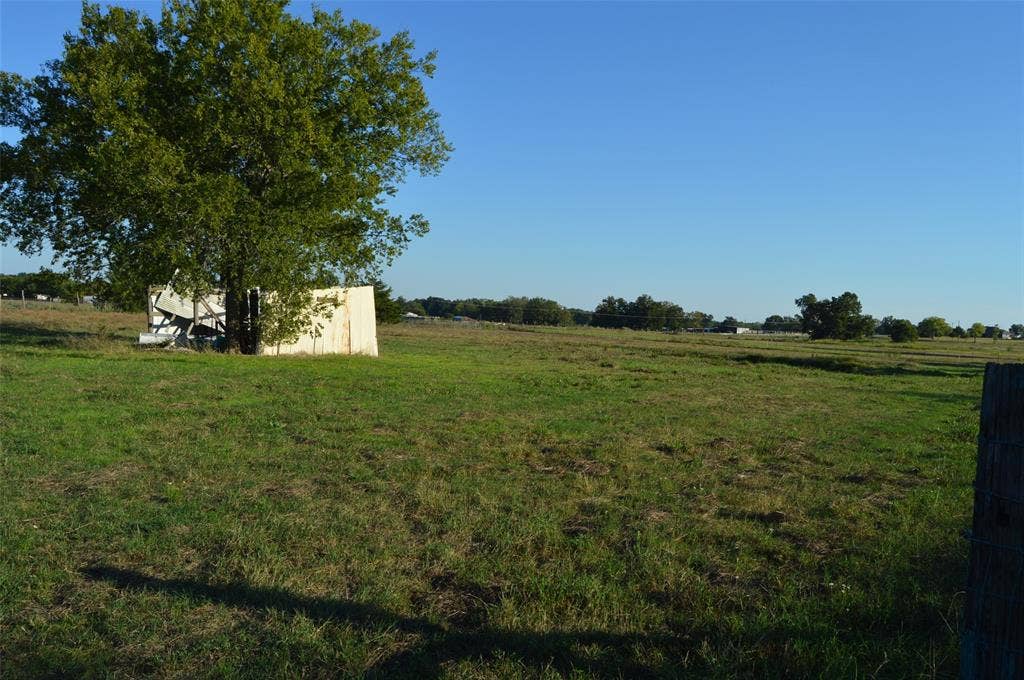 3345 County Road 1125, Farmersville, TX 75442 Pasture view with old shed in view