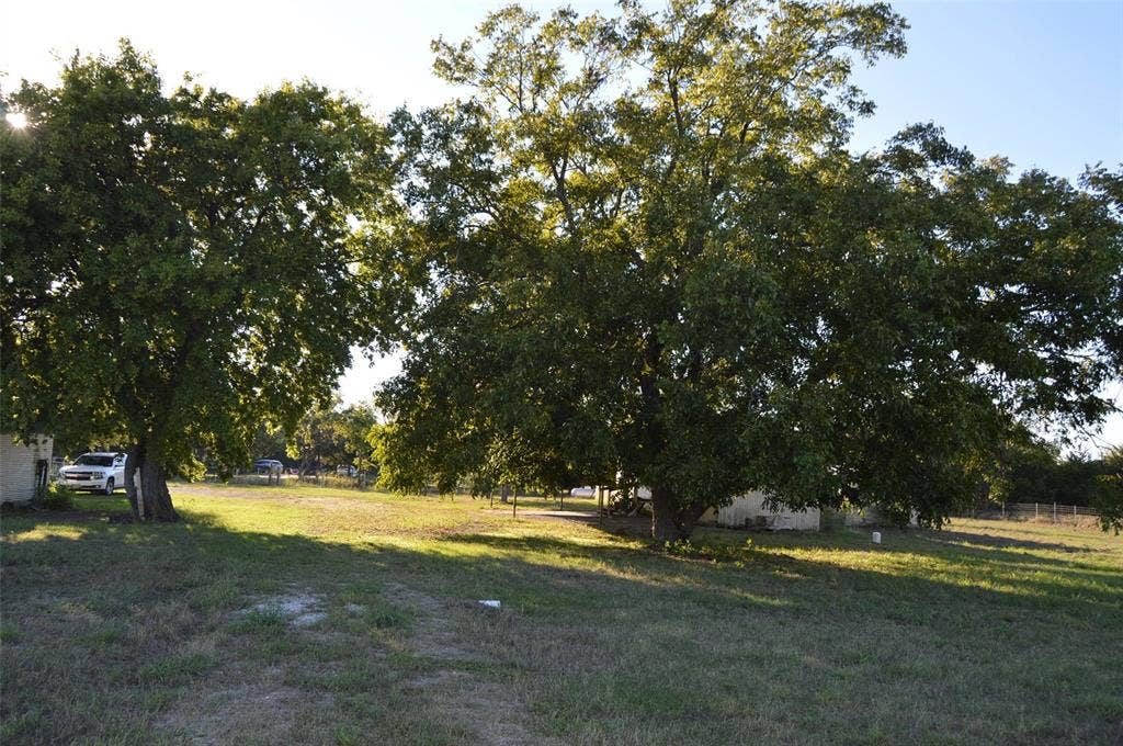 3345 County Road 1125, Farmersville, TX 75442 View of potential home site area