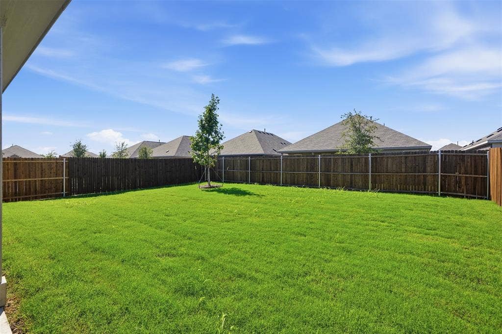 7117 Black Cherry Lane, McKinney, TX 75071 Expansive fenced backyard featuring a manicured lawn and a young tree