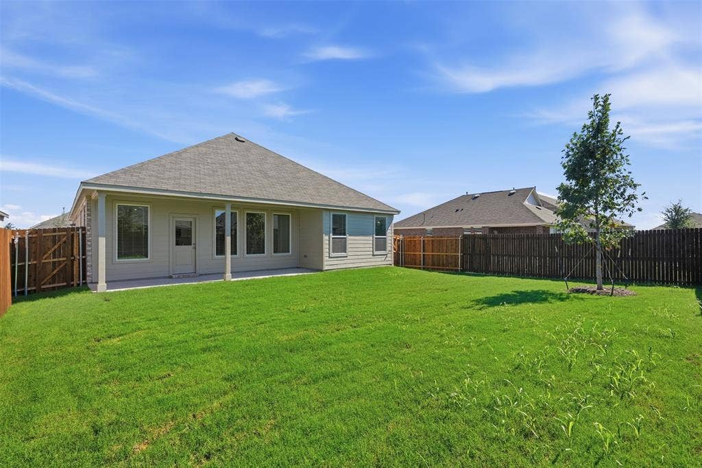 7117 Black Cherry Lane, McKinney, TX 75071 Expansive grassy yard with a young tree, full privacy fencing, and a covered back patio with multiple windows