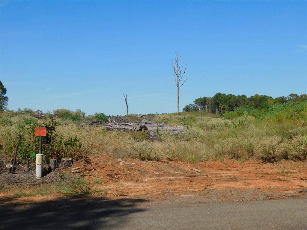 0 Jackie Byrd Road, Plain Dealing, LA 71064 0 Jackie Byrd Road, Plain Dealing, LA 71064