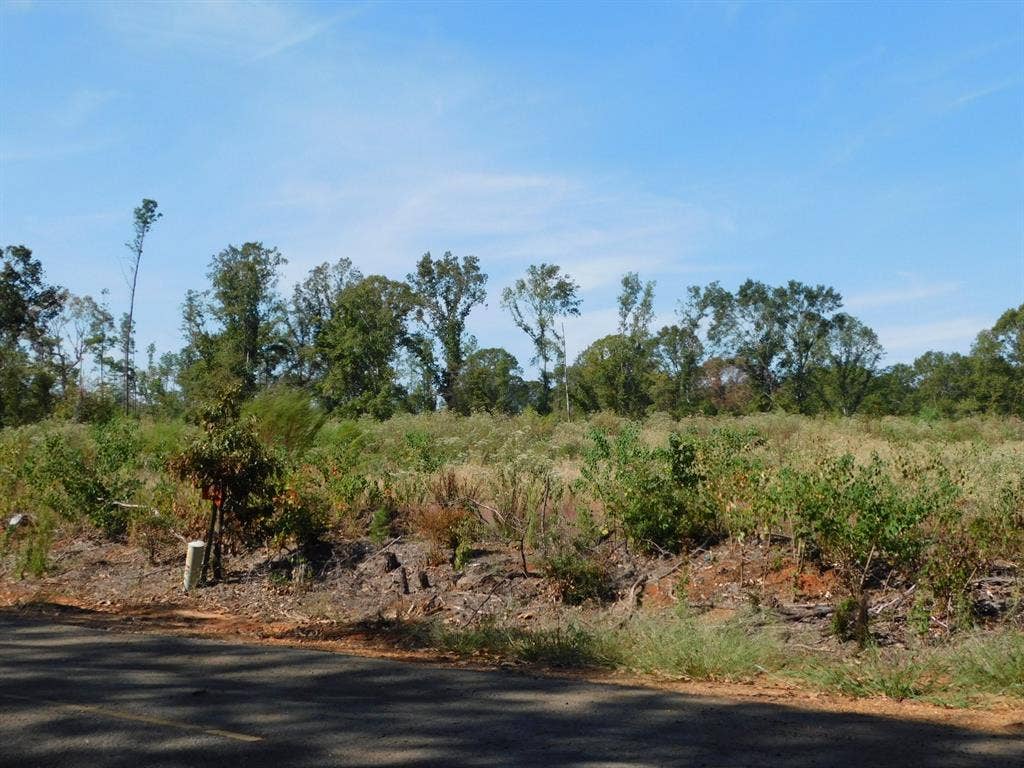 0 Jackie Byrd Road, Plain Dealing, LA 71064 0 Jackie Byrd Road, Plain Dealing, LA 71064