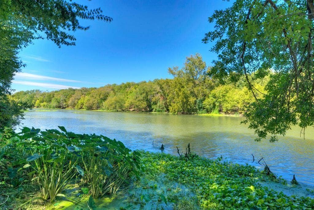 213 River Front Drive, Cedar Creek, TX 78612 Waterfront setting with lush tree canopy and mature foliage