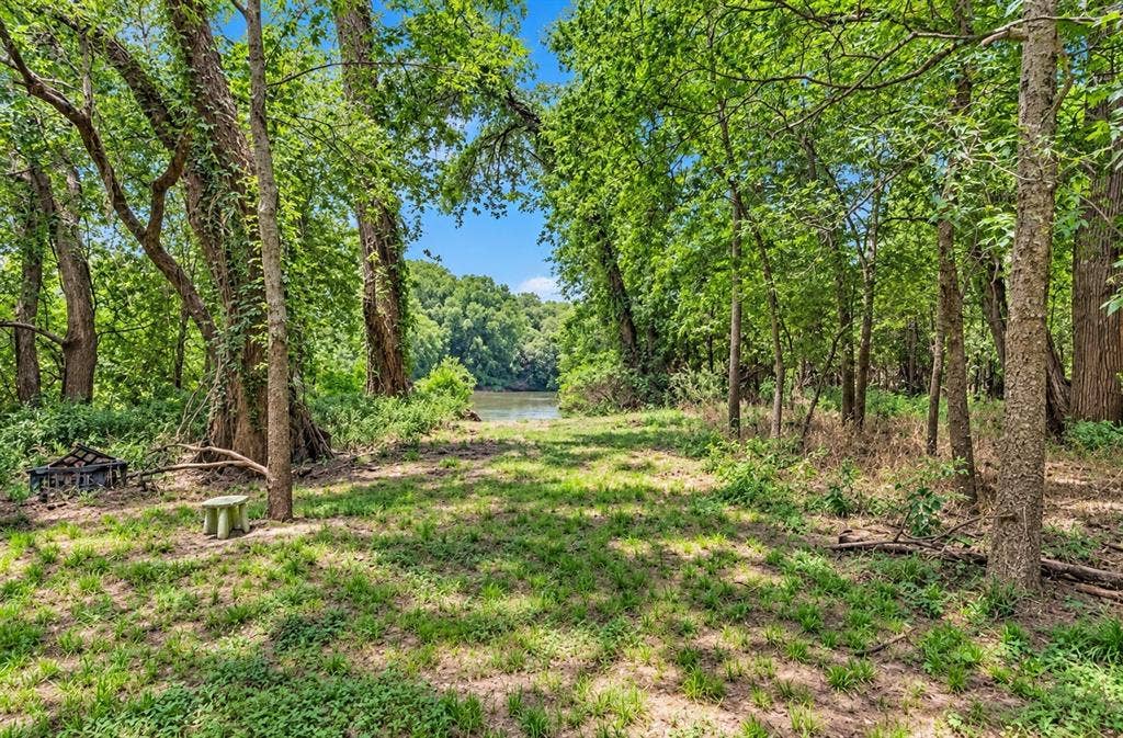 213 River Front Drive, Cedar Creek, TX 78612 Wooded area with mature trees, green ground cover, and a water feature in the background