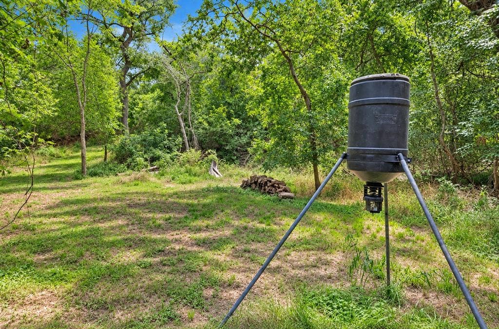 213 River Front Drive, Cedar Creek, TX 78612 Expansive outdoor space featuring a substantial tree line