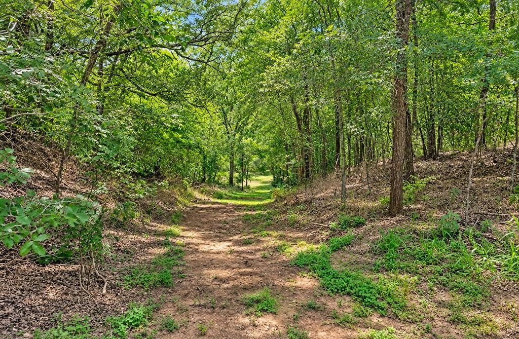 213 River Front Drive, Cedar Creek, TX 78612 Wooded property featuring a dirt path and mature trees