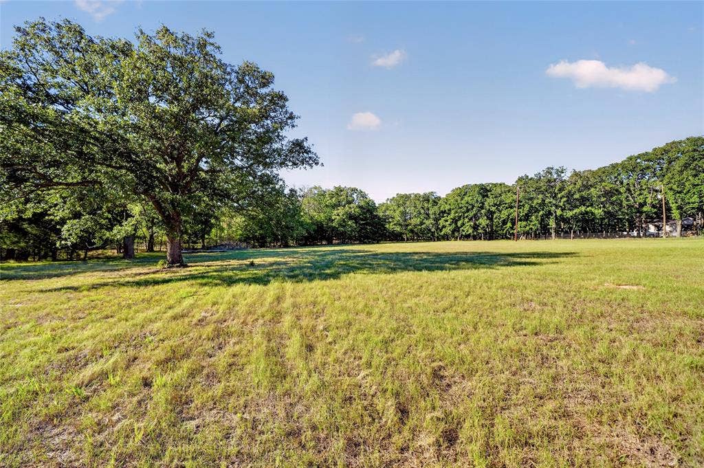 Expansive grassy terrain with mature trees