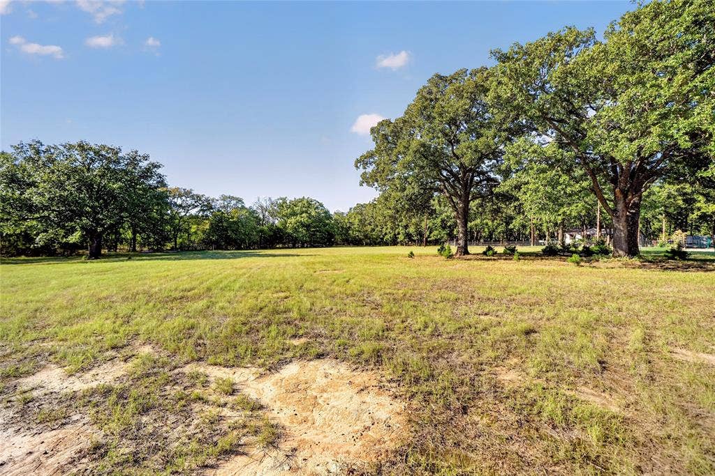 Expansive open field with scattered trees and natural landscaping
