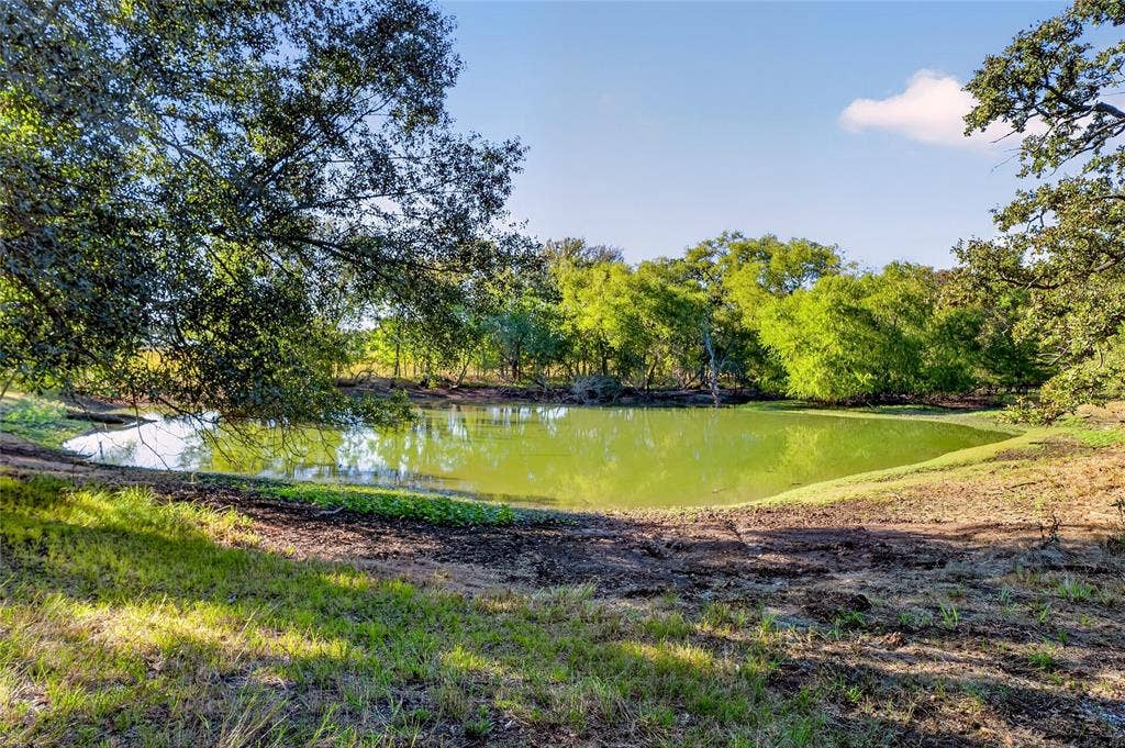 Pond