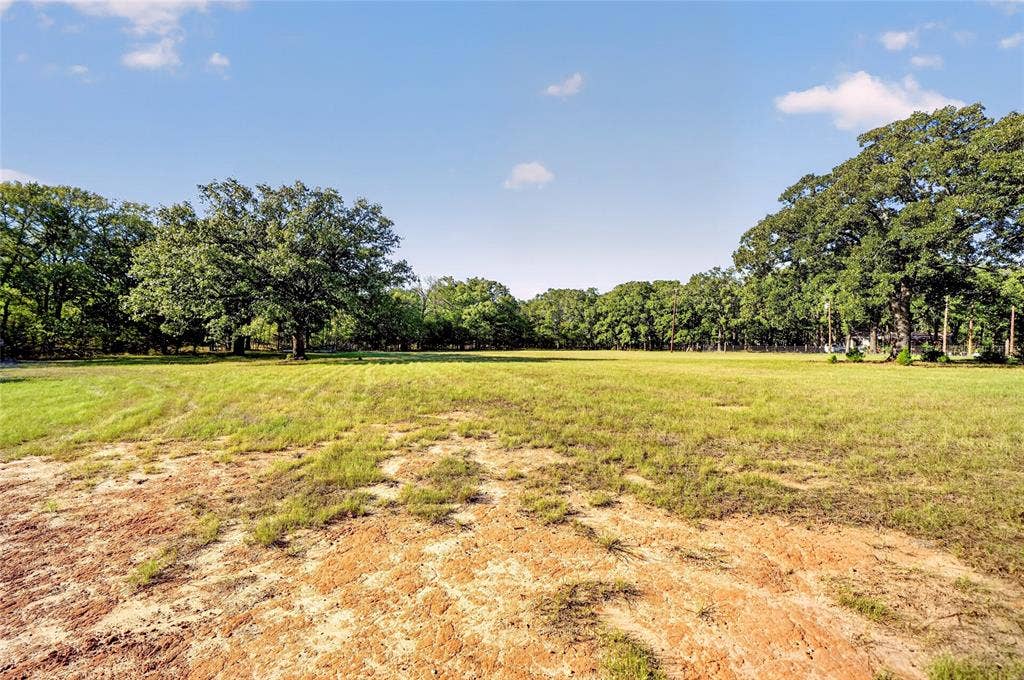 Expansive open field with scattered trees and a natural perimeter of dense foliage