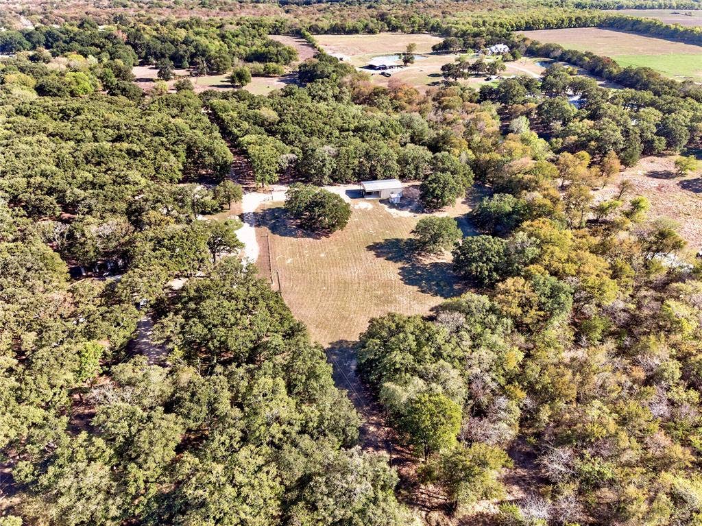 Expansive wooded acreage featuring diverse tree coverage and open clearings