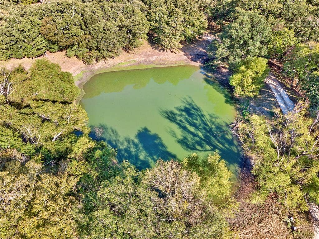 Natural pond surrounded by abundant mature trees