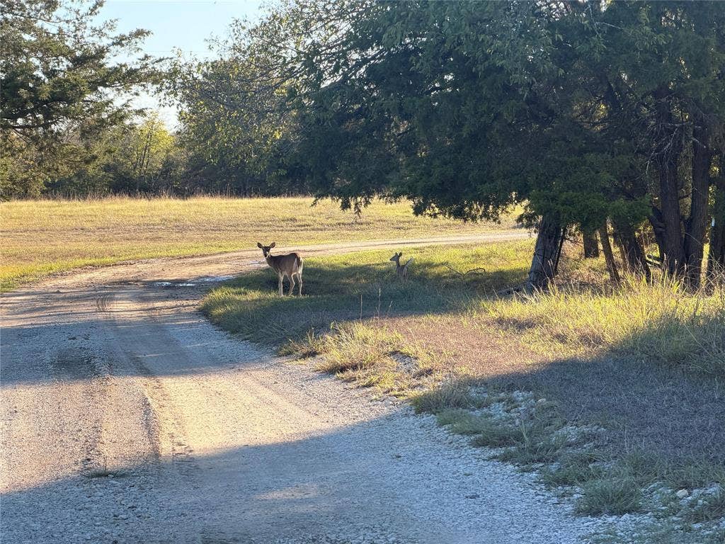 1747 Willie Dennis Road, Terrell, TX 75160