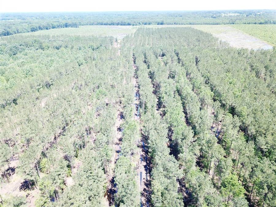 Property photo for Off CR 4290, Simms, TX