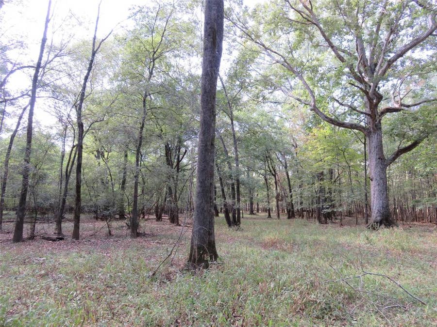 Property photo for 9795 Highway 59, Nacogdoches, TX