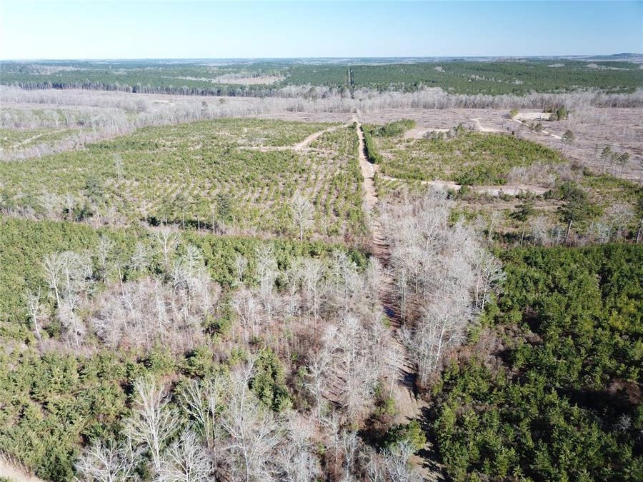 Property photo for 00 Off Hwy 517, Gibsland, LA