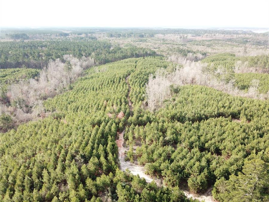 Property photo for 00 Off McManus Road, Zwolle, LA