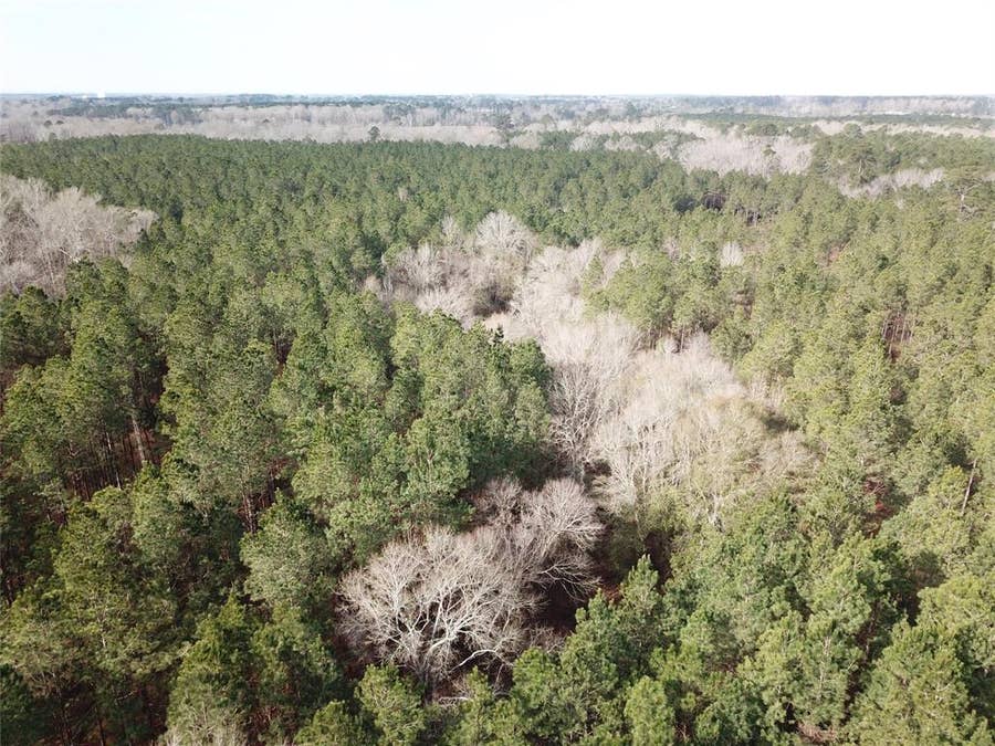 Property photo for 00 off Countree Road, Zwolle, LA
