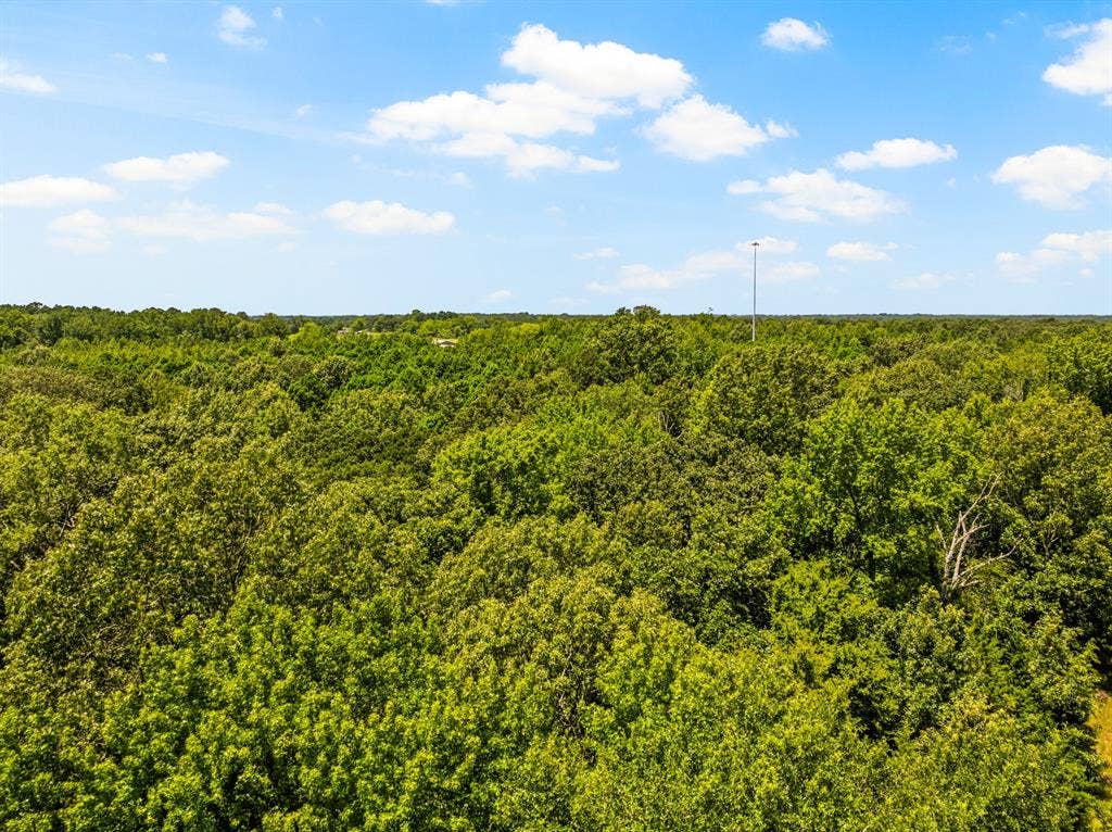 TBD FM 1993 TR 2, Cookville, TX 75558