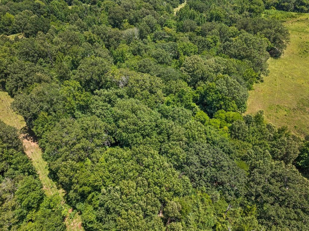 TBD FM 1993 TR 2, Cookville, TX 75558