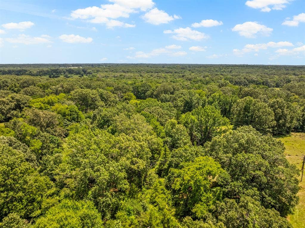 TBD FM 1993 TR 2, Cookville, TX 75558
