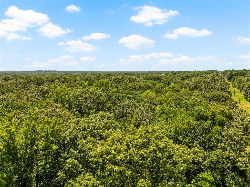 TBD FM 1993 TR 2, Cookville, TX 75558