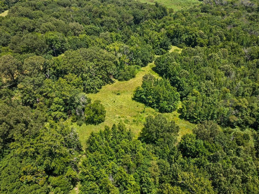 TBD FM 1993 TR 2, Cookville, TX 75558