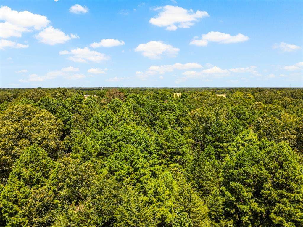 TBD FM 1993 TR 2, Cookville, TX 75558