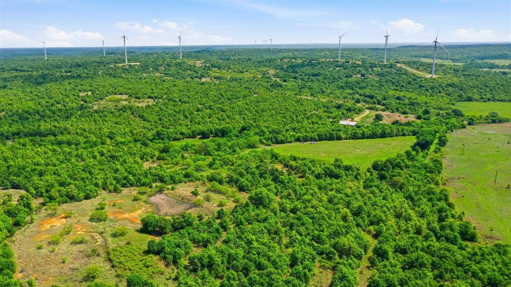 3180 Rock Creek Road, Jacksboro, TX 76458