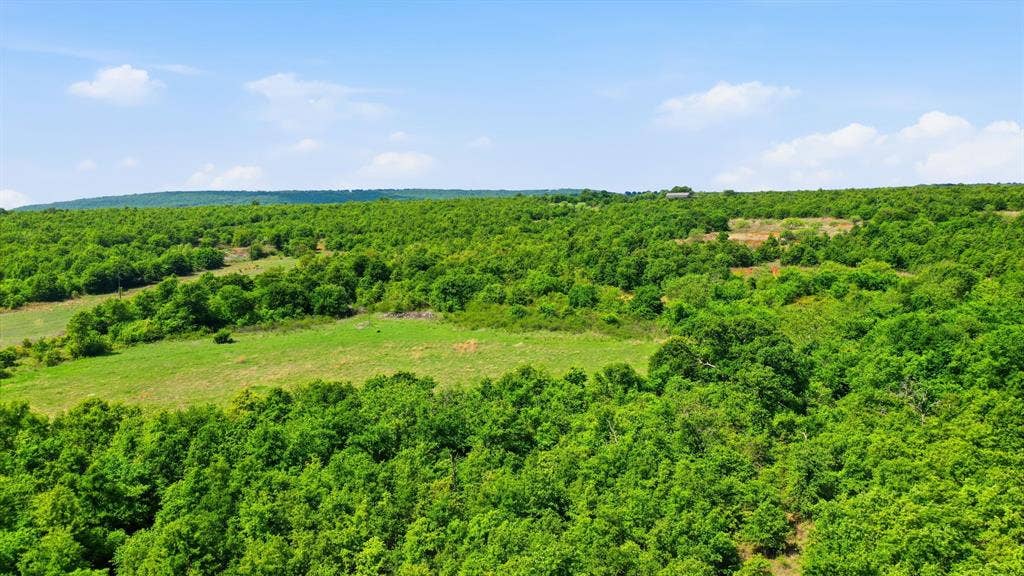 3180 Rock Creek Road, Jacksboro, TX 76458