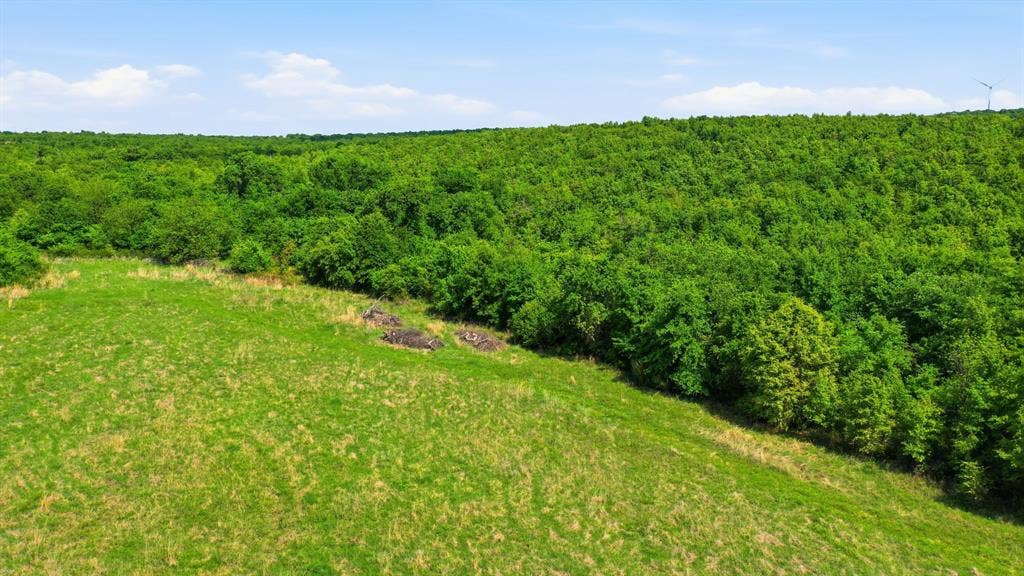 3180 Rock Creek Road, Jacksboro, TX 76458