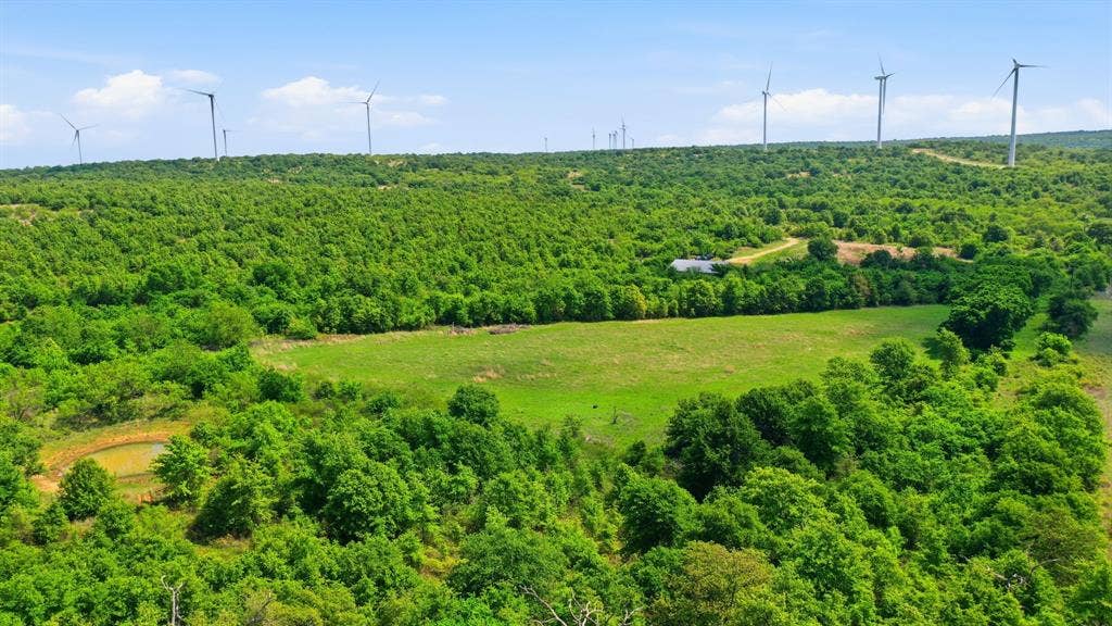 3180 Rock Creek Road, Jacksboro, TX 76458