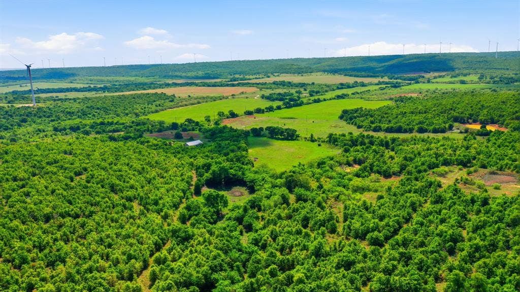 3180 Rock Creek Road, Jacksboro, TX 76458