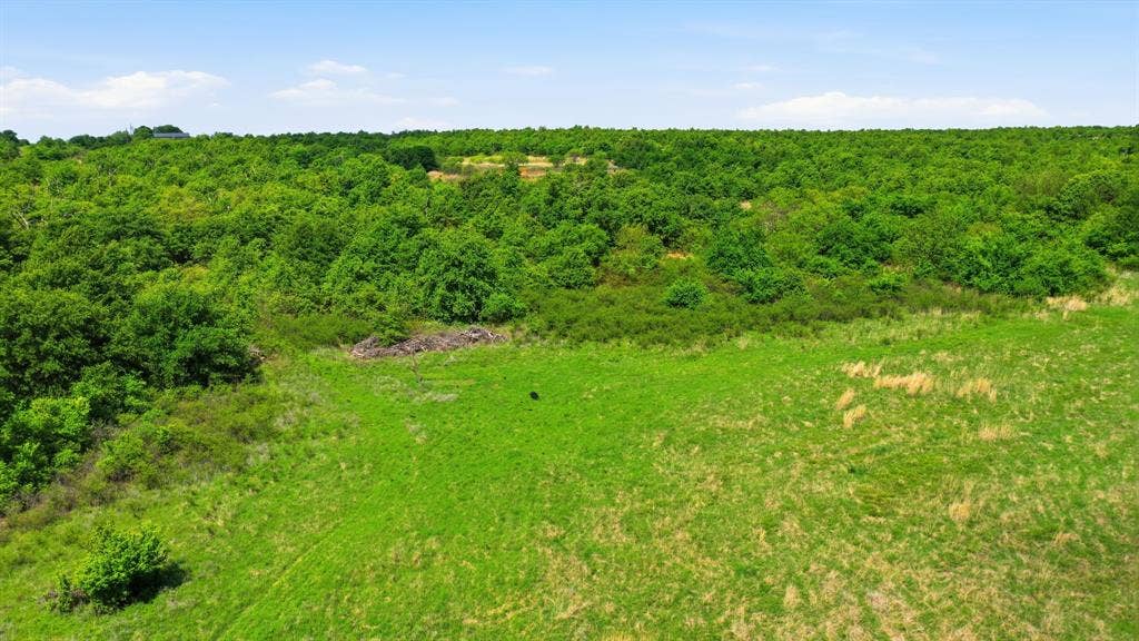 3180 Rock Creek Road, Jacksboro, TX 76458