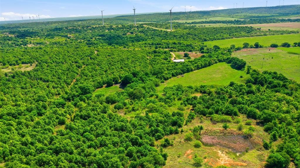 3180 Rock Creek Road, Jacksboro, TX 76458